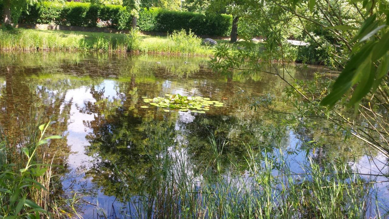 Haus Am Teich - Teichblick Daire Fehmarn Dış mekan fotoğraf